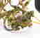item-132917817=12