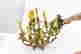 item-132917817=2