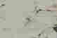 item-132917929=9