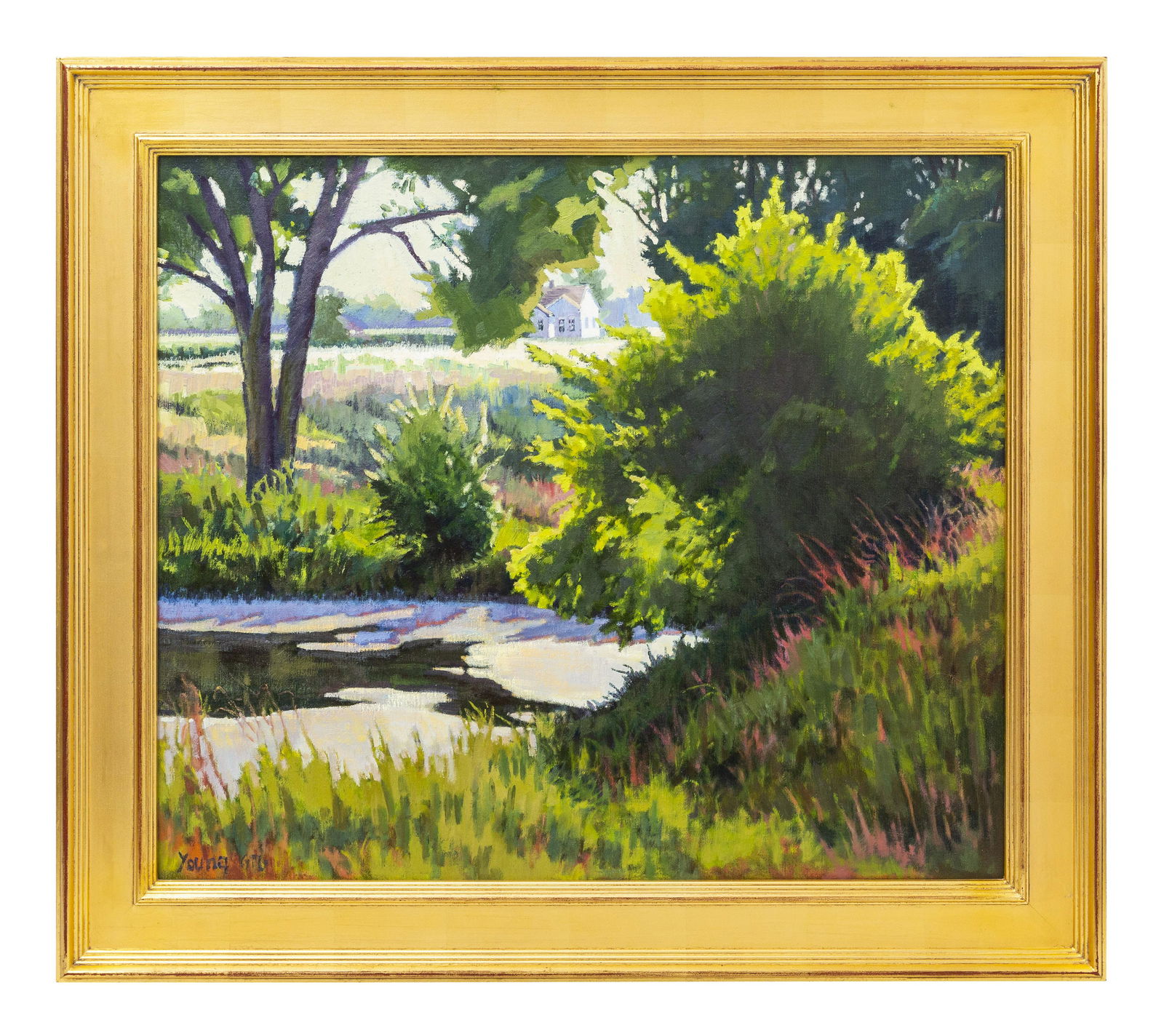 Diane Young (20th/21st Century) Oil (American) (1 of 7)