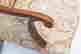 item-132918043=5