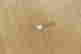 item-135907287=4