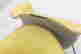 item-135907319=12