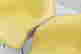 item-135907319=2