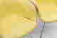 item-135907319=4