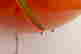 item-135907419=9