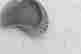 item-135907449=6