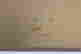 item-135907525=6