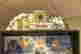 item-135907535=13