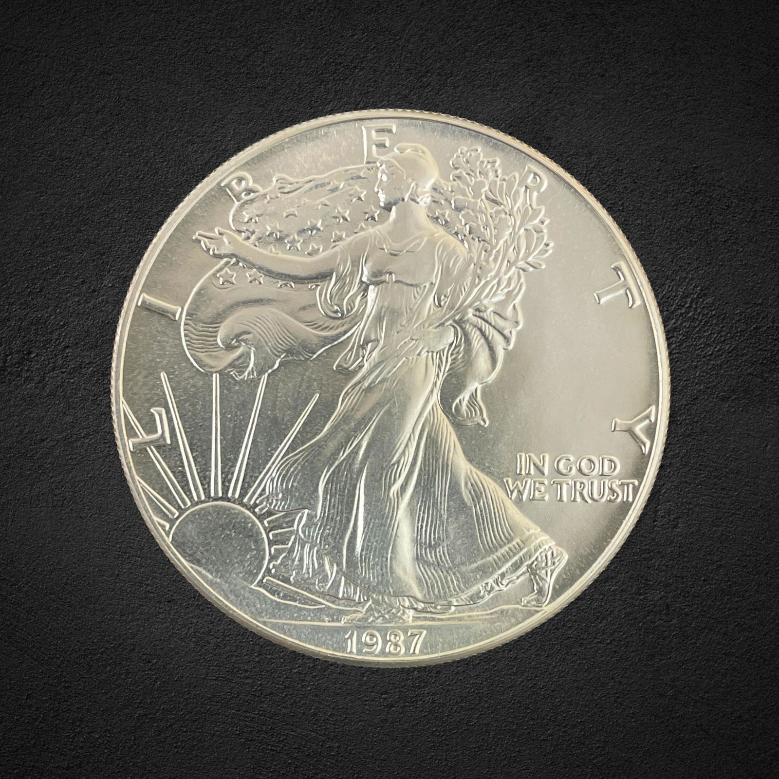 1987 $1 Silver Eagle Proof Coin (1 of 1)