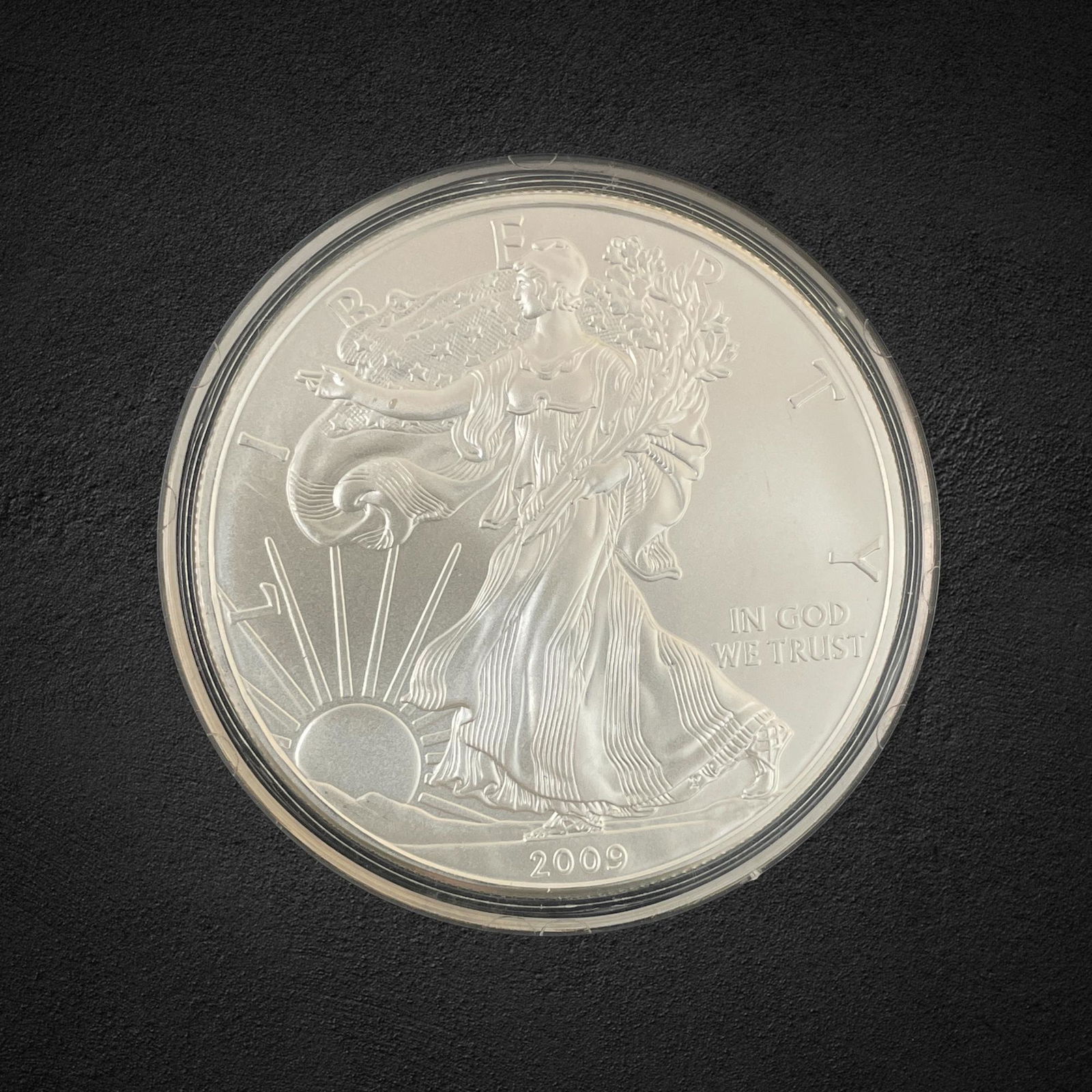 2009 $1 Silver Eagle Coin (1 of 2)