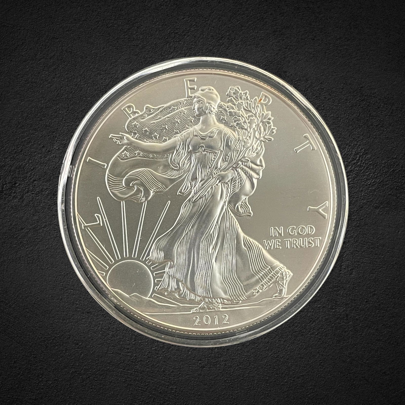 2012 $1 Silver Eagle Coin (1 of 2)