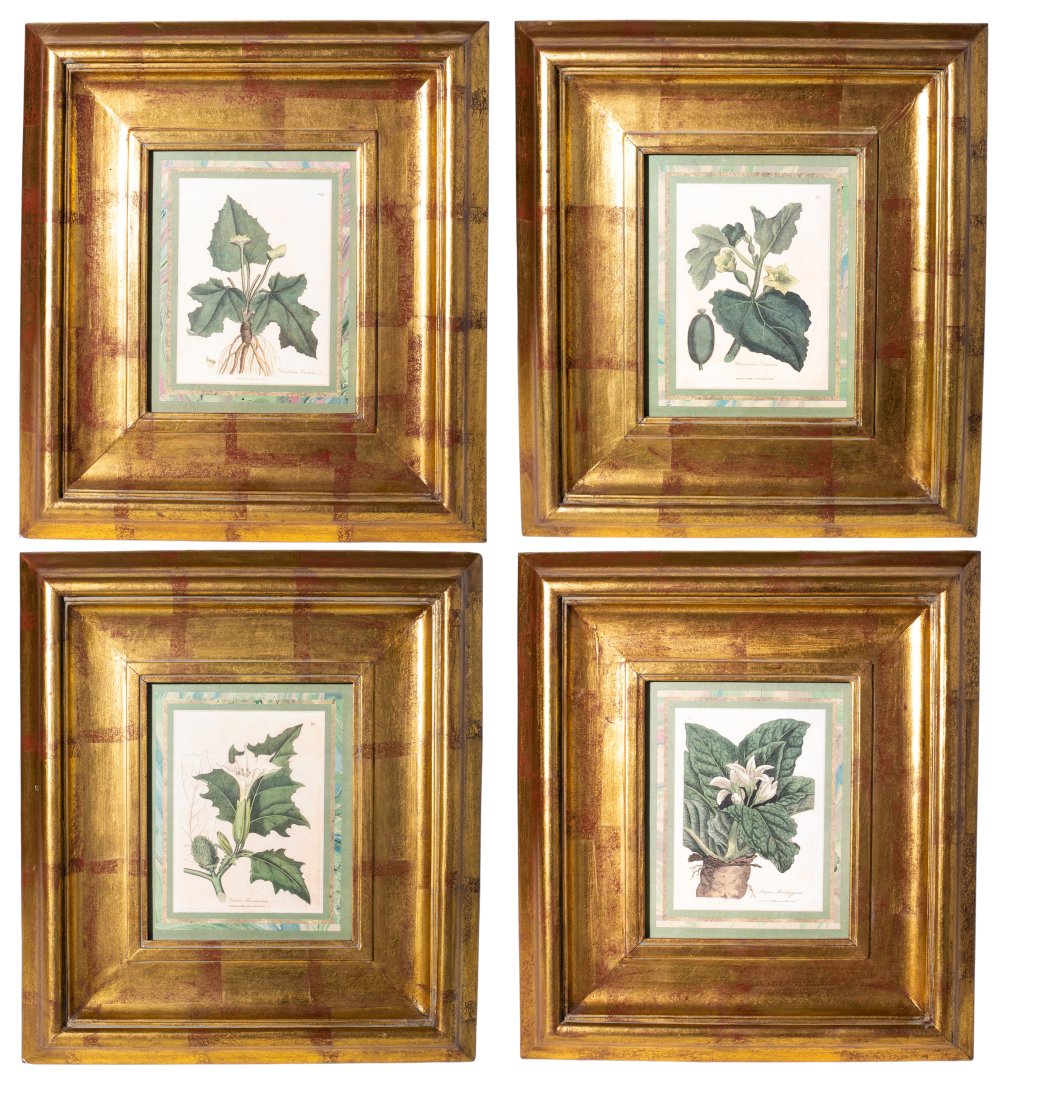 Set (4) Trowbridge Gallery Botanical Prints