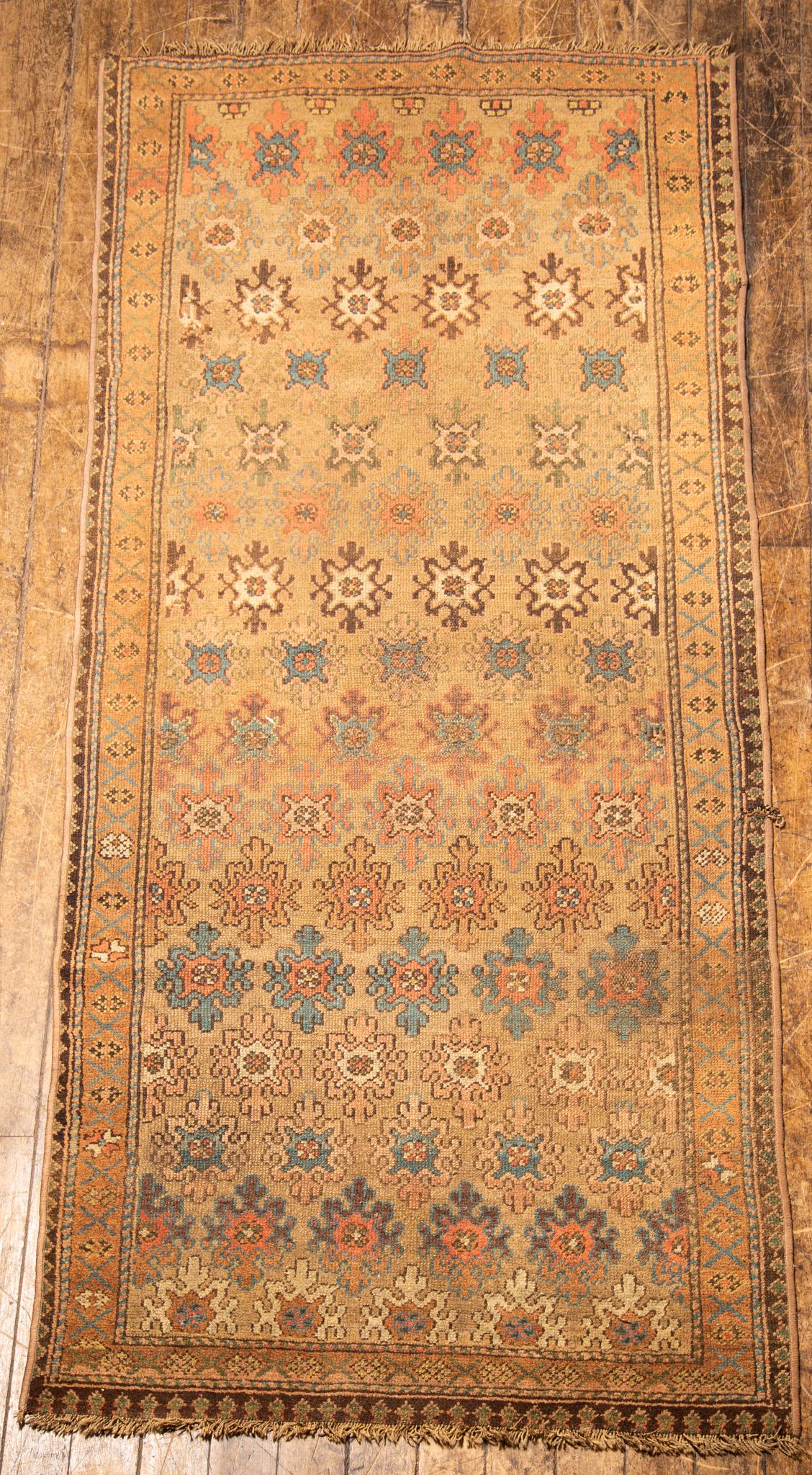 NW Persian Runner (1 of 2)