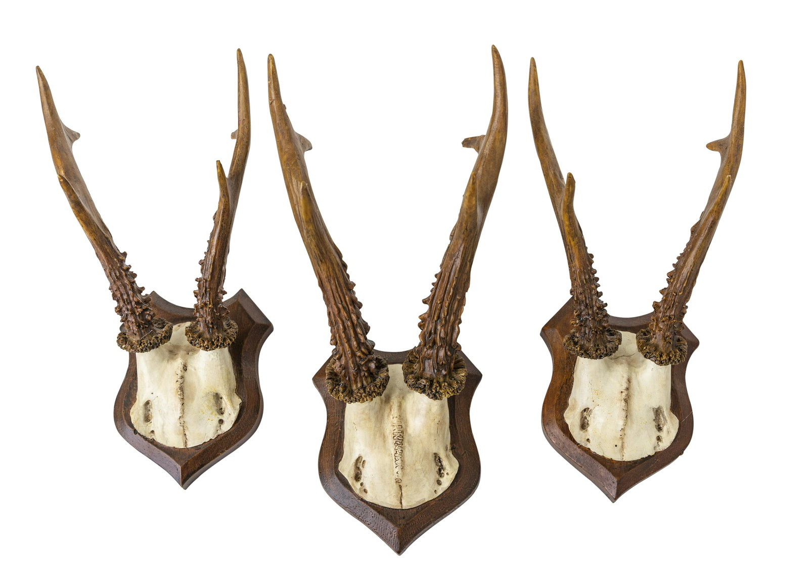 Assembled Antler Mounts (1 of 4)
