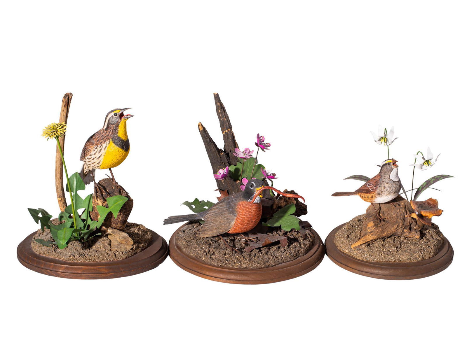 Arthur John "Jay" Light III (1936-2015) Carved Bird Sculptures (Cincy) (1 of 9)