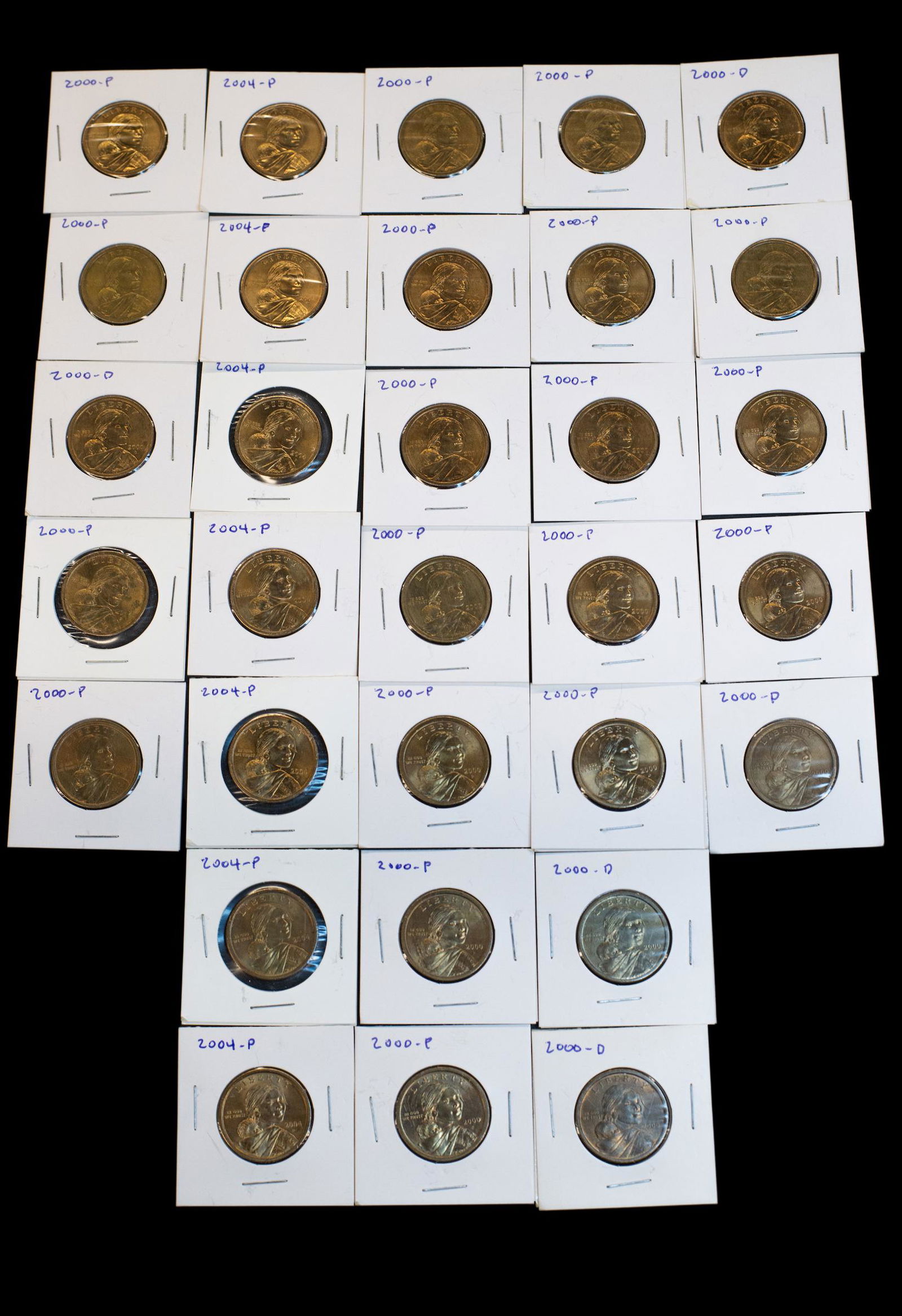 Sacagawea Dollar Coin Group (1 of 5)