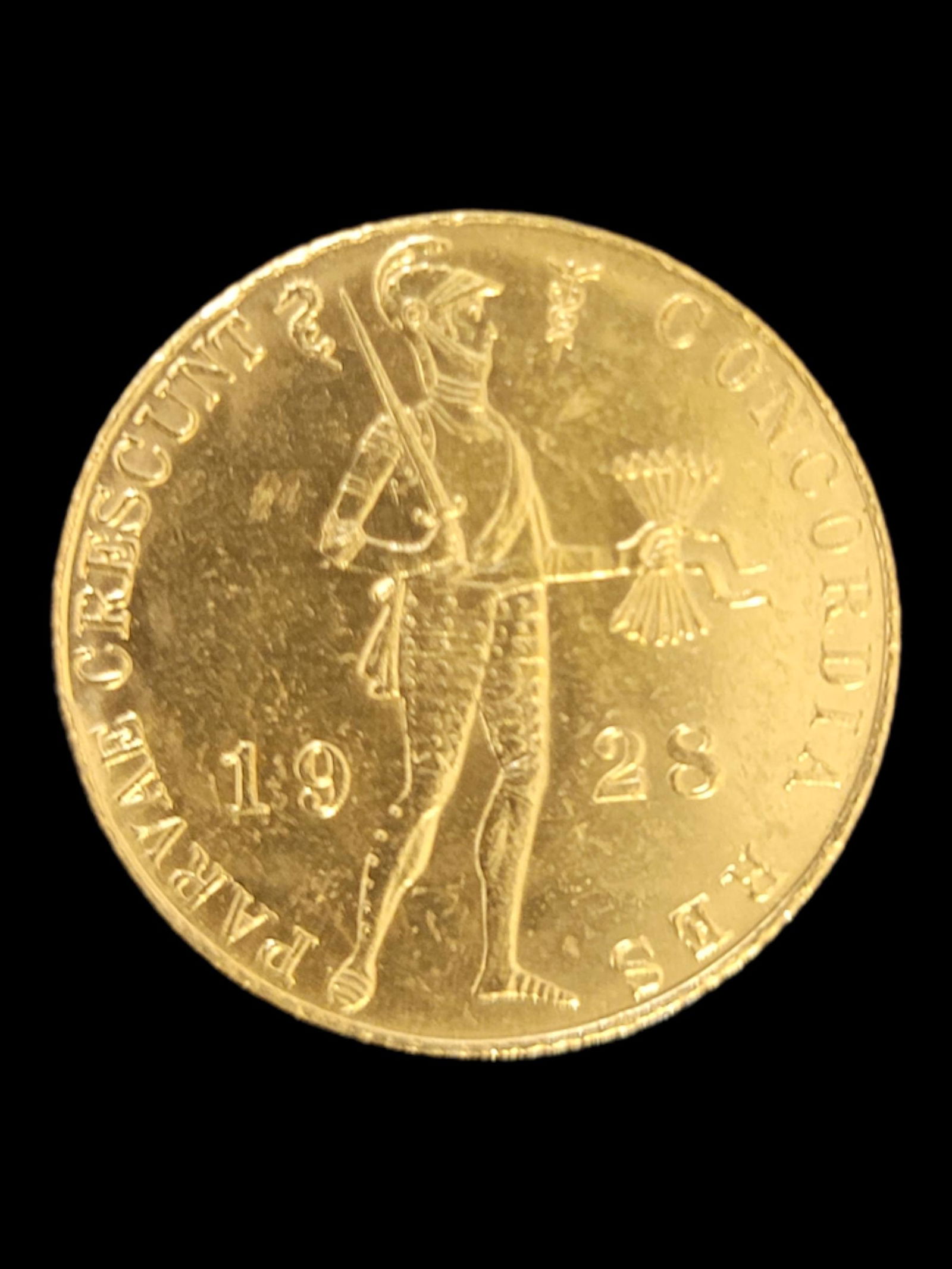 1928 Netherlands 1 Ducat Gold Coin (1 of 2)