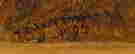 item-11156597=3