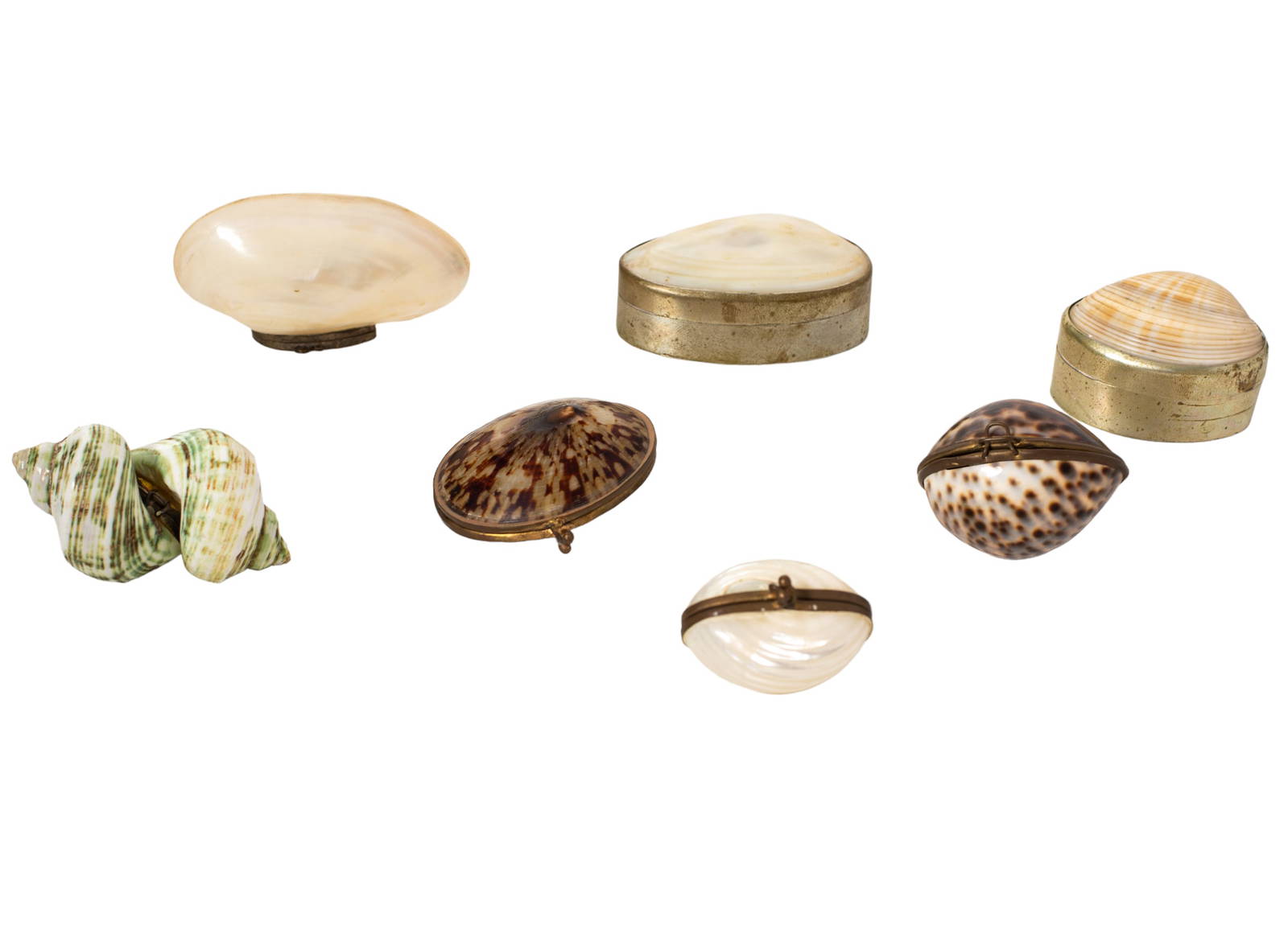 Assembled Shell Table Top Boxes Auction