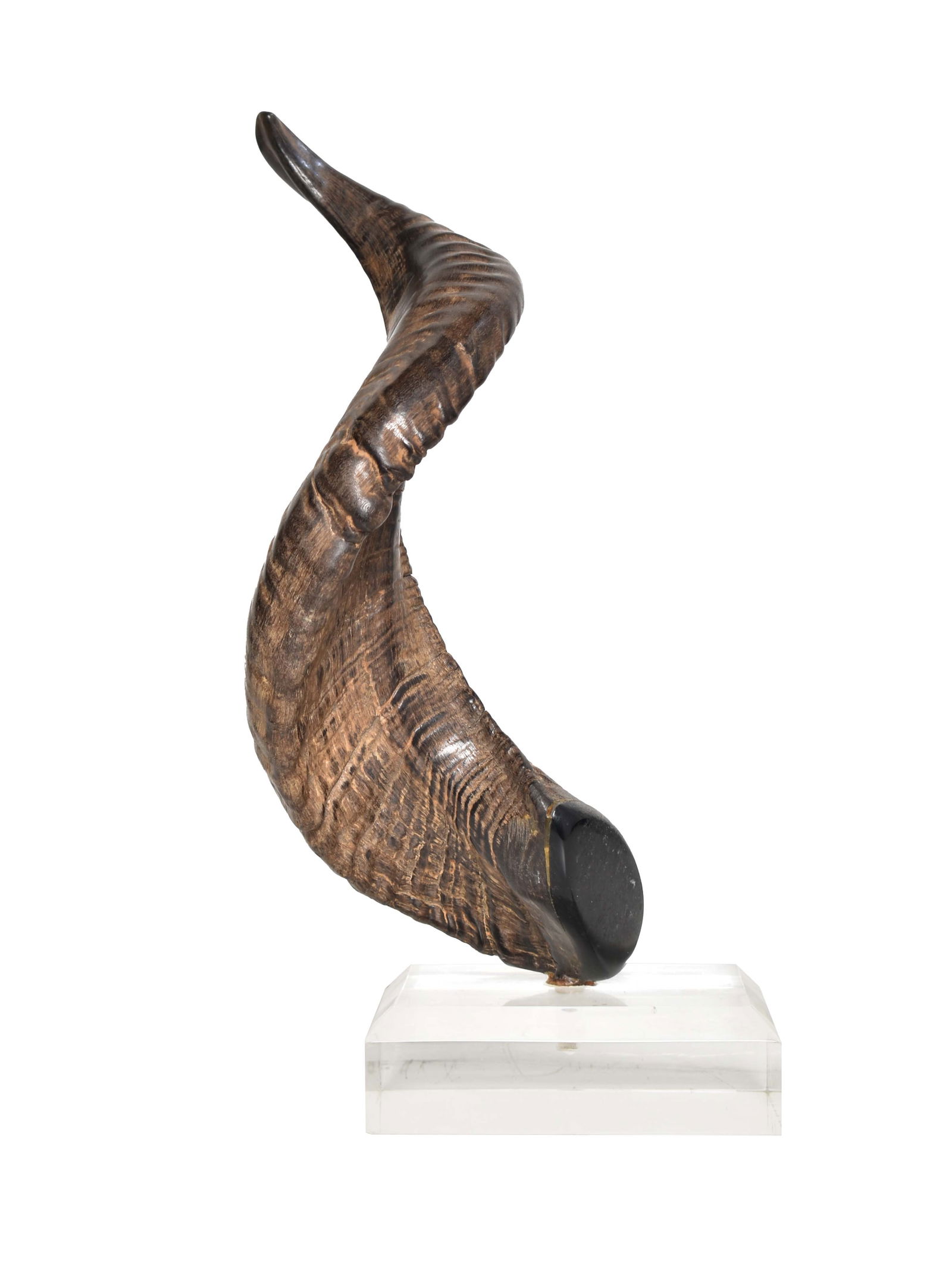Koshar Kudo Spiral Horn Sculpture: Koshar Kudo Spiral Horn Sculpture. USA, 1970. Horn and lucite. 6w x 5 1/2d x 12 7/8h.