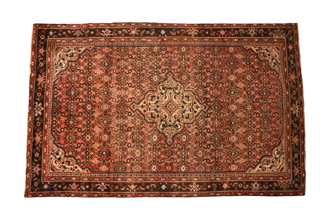 Persian Area Rug: Garden design with center medallion over a red field. 6' 3 1/2" x 9 ' 10".