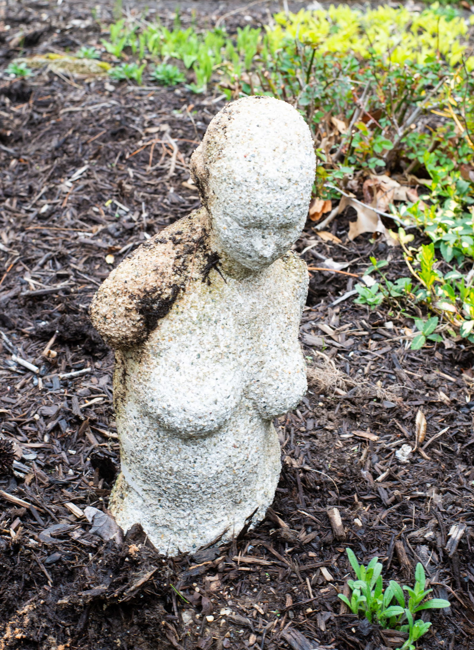 19th Century Carved Pumice Bust of Lady (1 of 6)