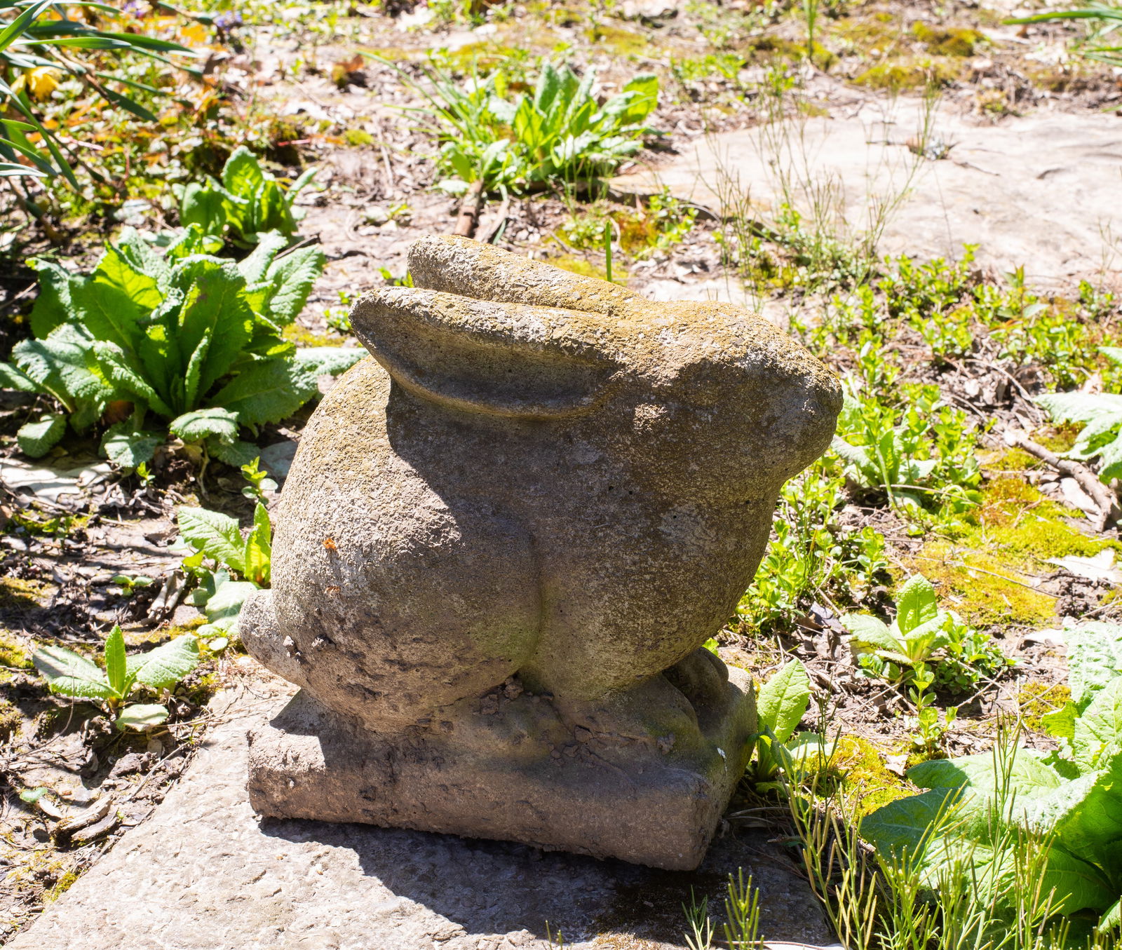 Cast Stone Sitting Rabbit (1 of 3)