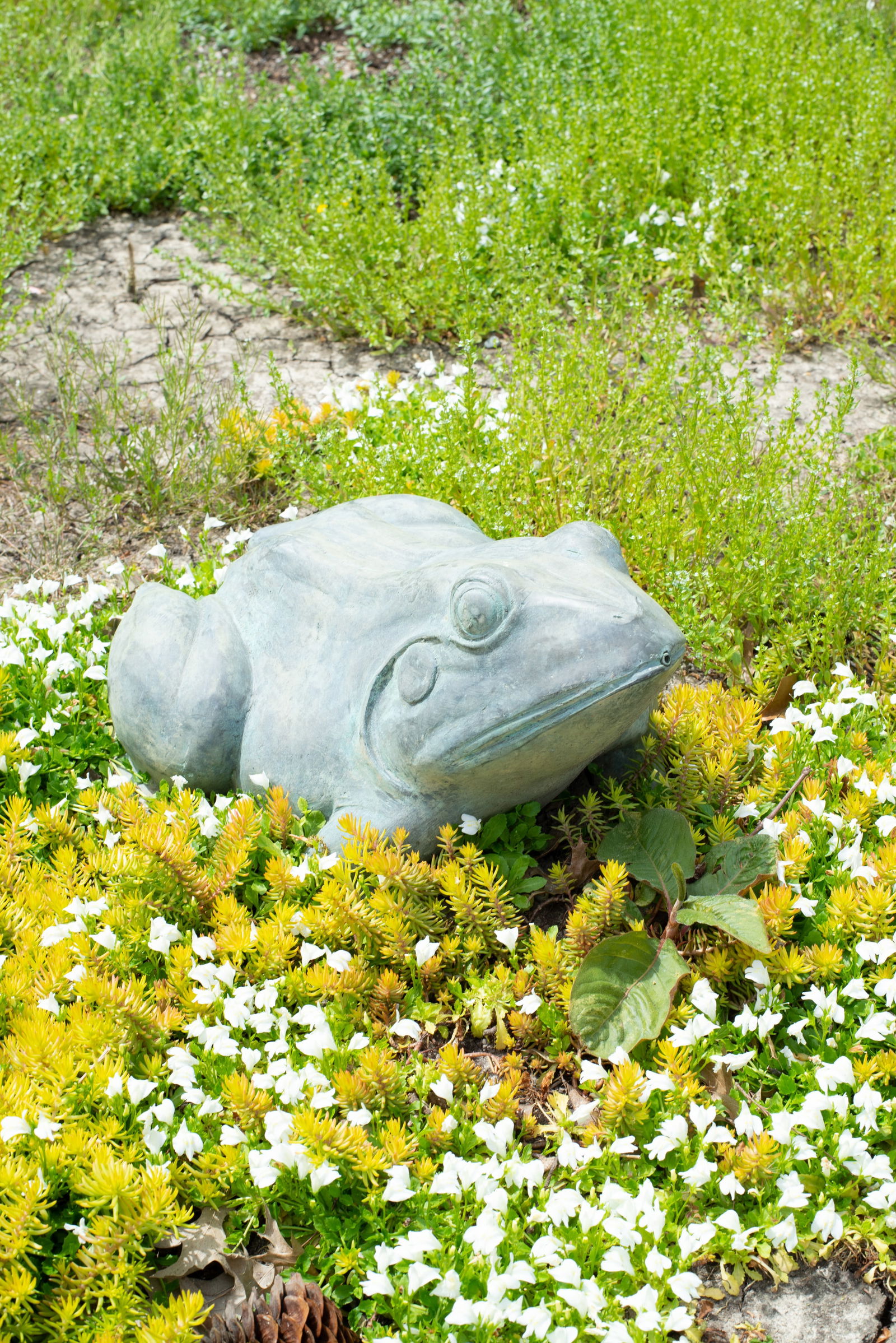 Large Bronze Frog Garden Sculpture (1 of 5)