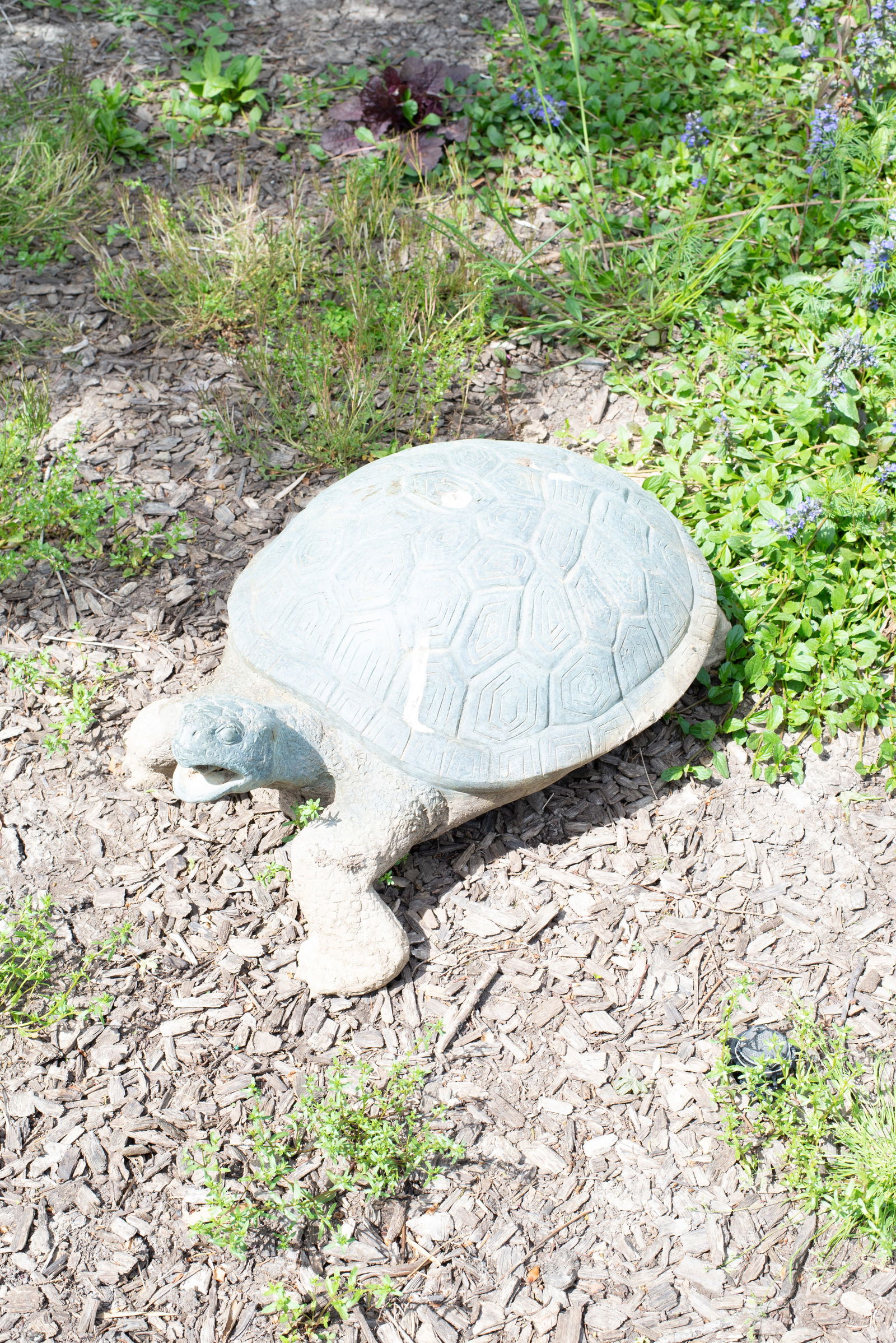 20th Century Bronze Turtle Garden Sculpture (1 of 8)