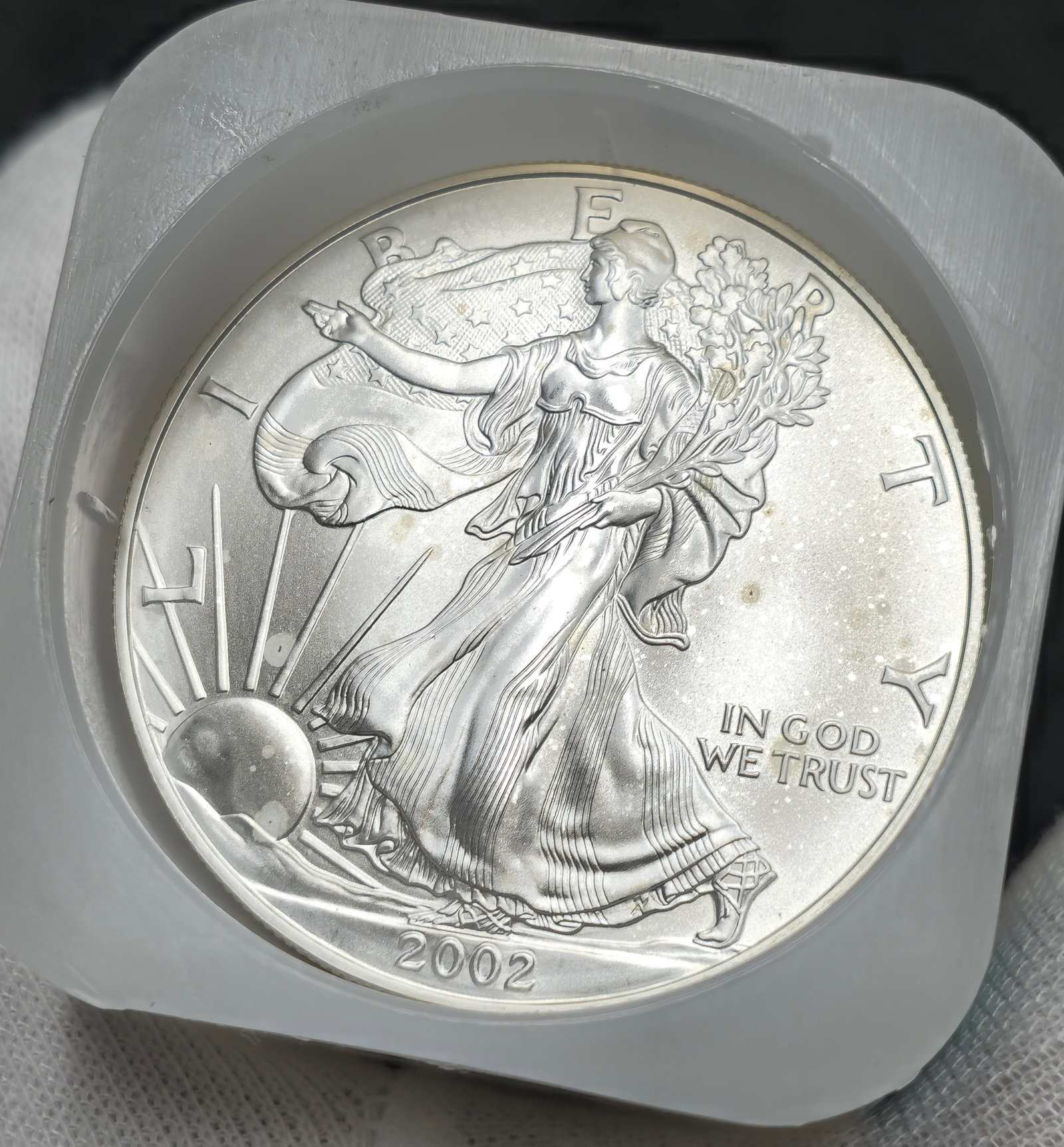 Roll of 2002 American 1oz. Silver Eagle Coins Uncirculated (1 of 2)