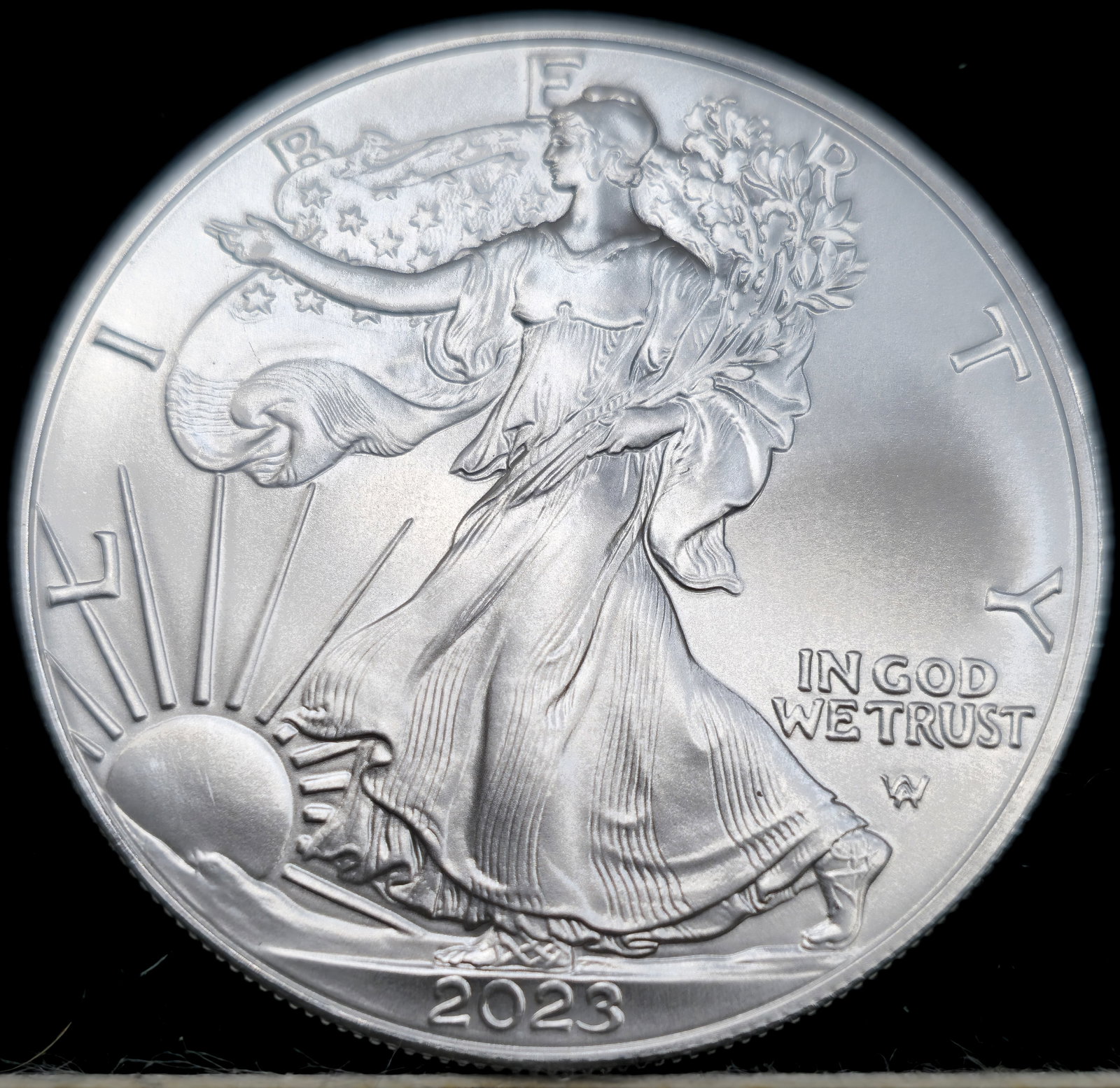 2023 American 1oz. Silver Eagle Coin Uncirculated (1 of 2)