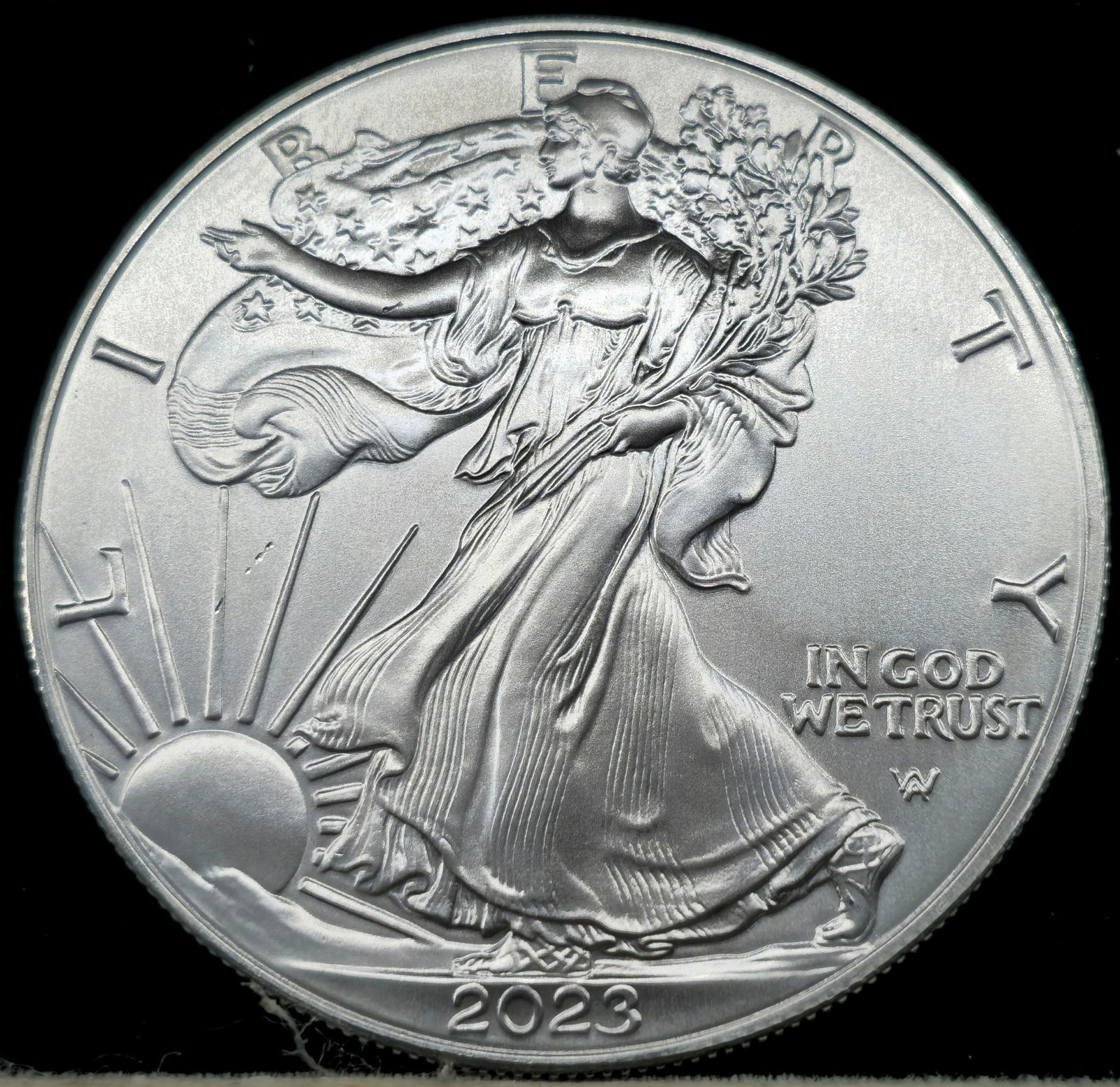 2023 American Silver Eagle (1 of 2)