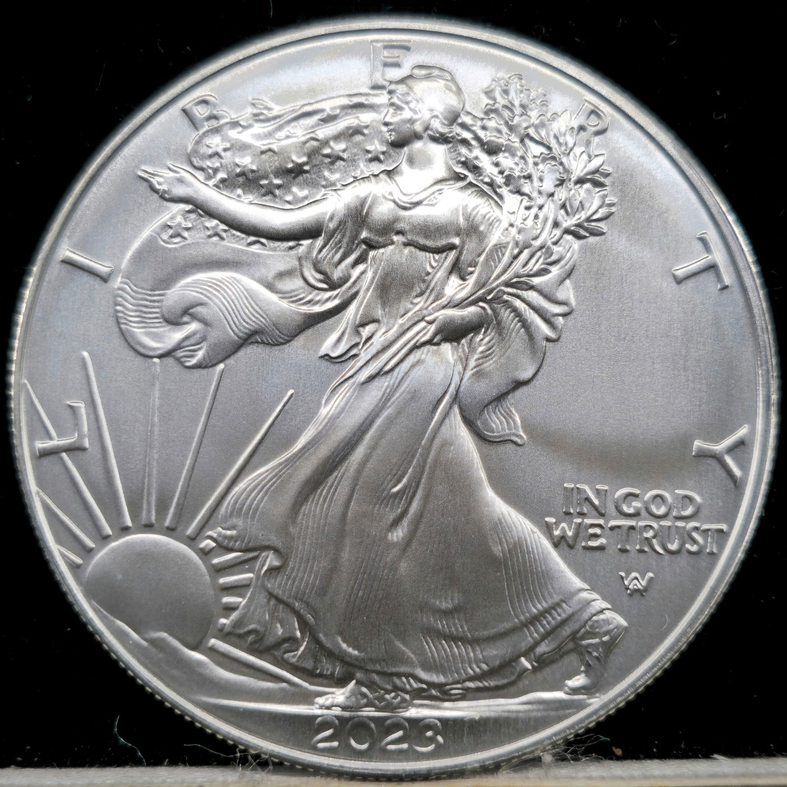 2023 American Silver Eagle (1 of 2)