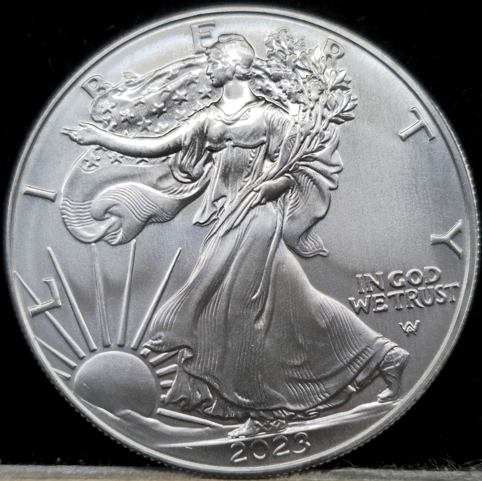 2023 American Silver Eagle (1 of 2)