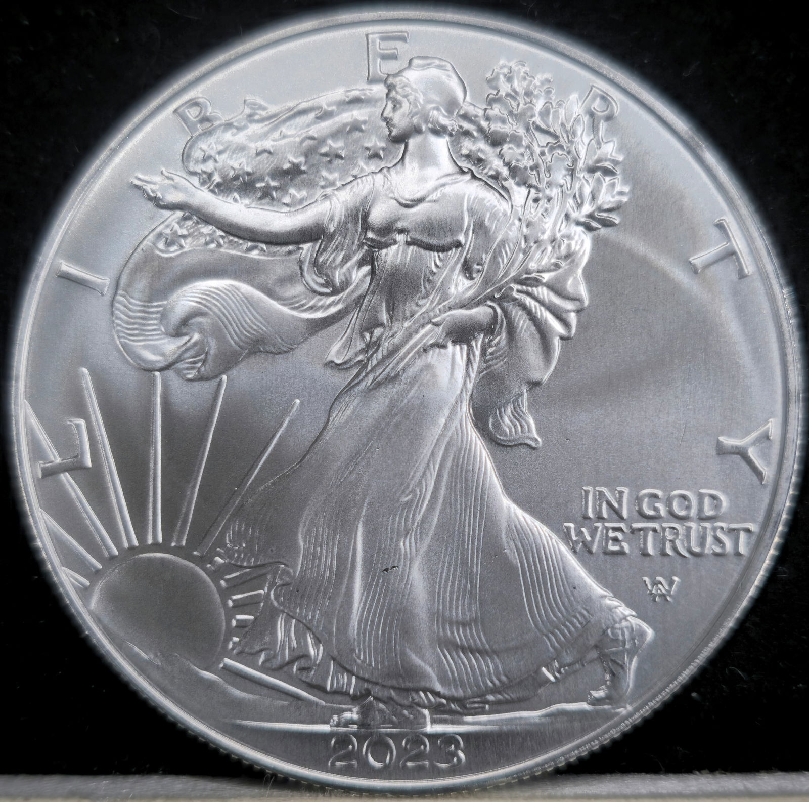 2023 American Silver Eagle (1 of 2)