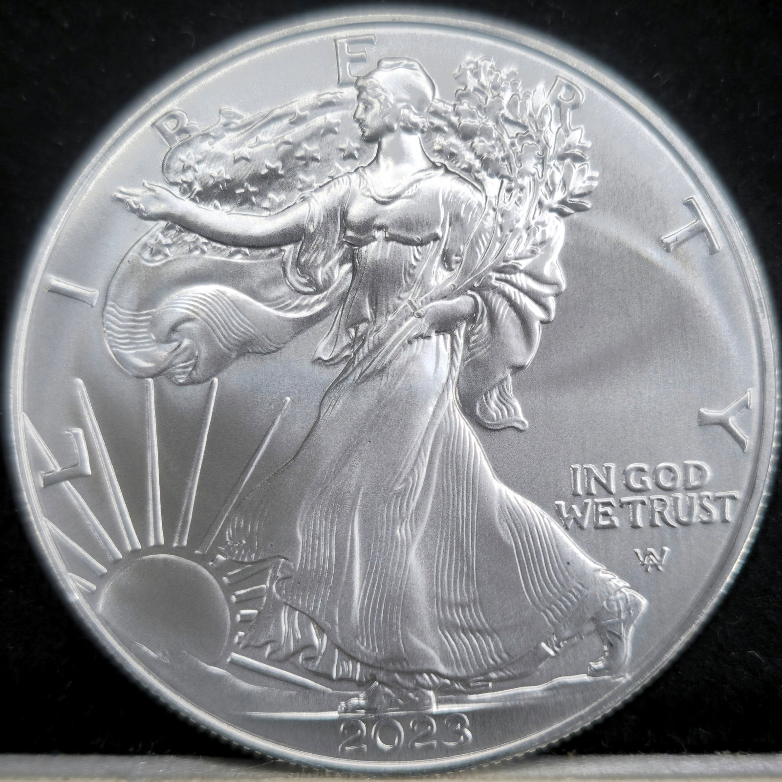 2023 American Silver Eagle (1 of 2)