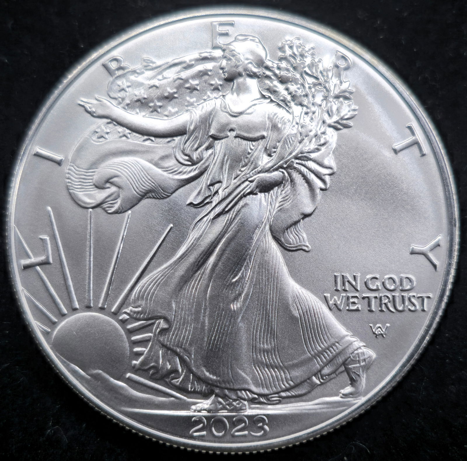 2023 American Silver Eagle (1 of 2)
