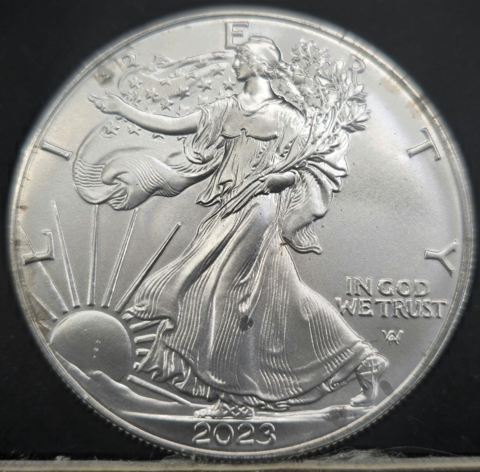 2023 American Silver Eagle (1 of 2)