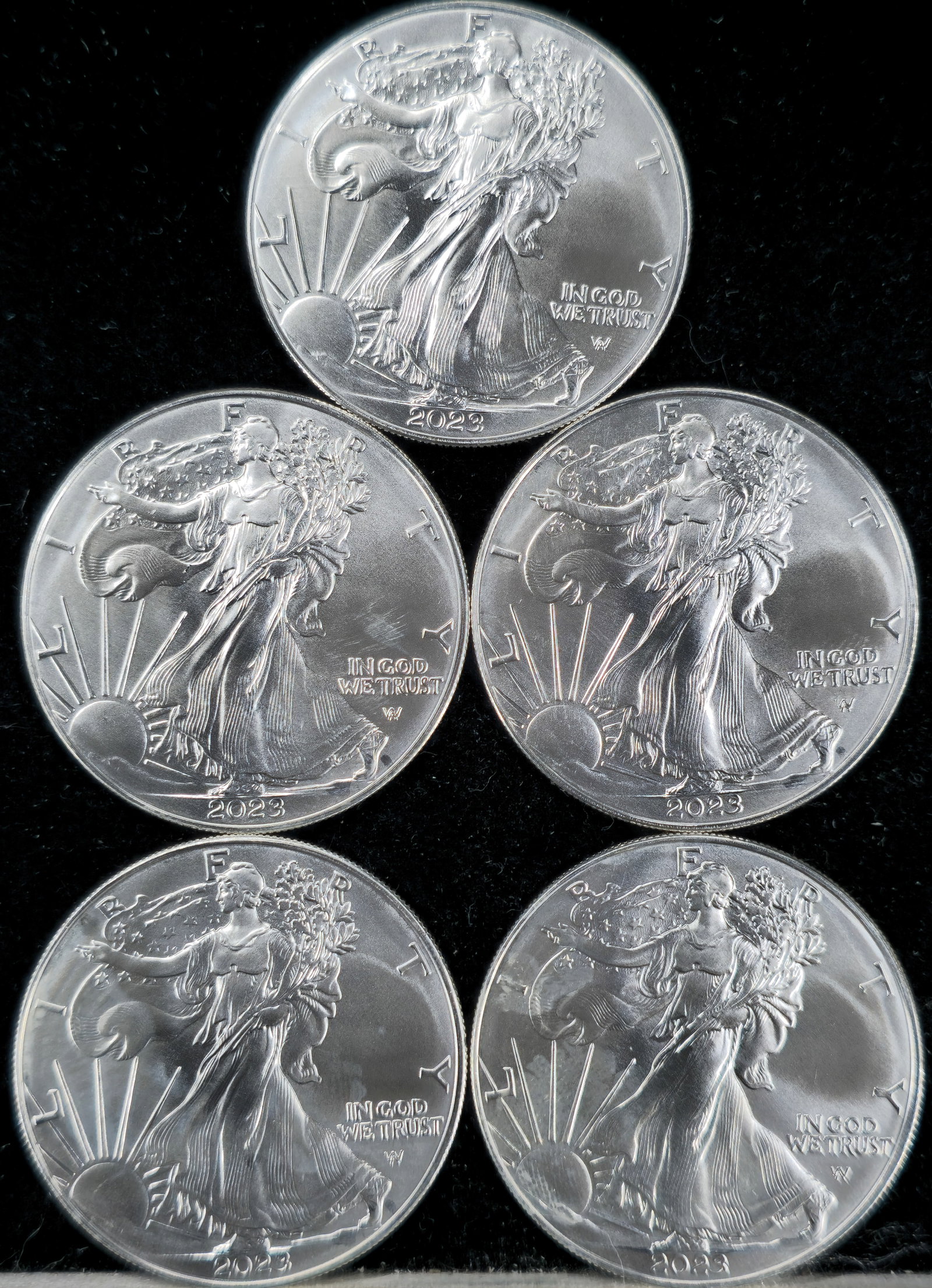 2023 American 1oz. Silver Eagles (1 of 2)