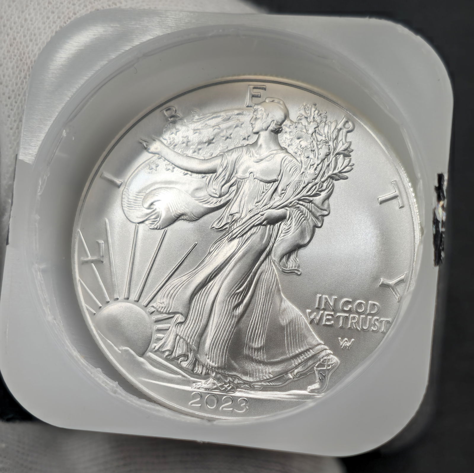 Roll of 2020 American 1oz. Silver Eagle Coins Uncirculated (1 of 2)