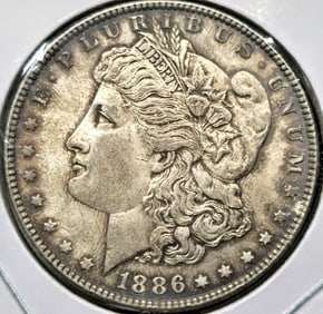 1886 Morgan Silver Dollar Coin Toned Uncirculated Toned