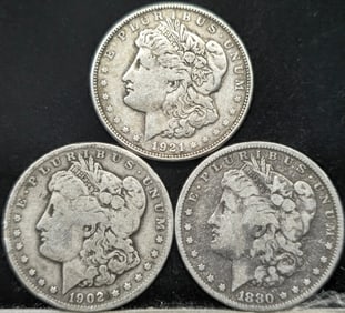 Morgan Silver Dollar Coin Grouping