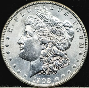 1902 Morgan Silver Dollar Coin Uncirculated