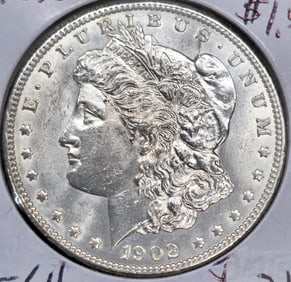 1902 Morgan Silver Dollar Coin Uncirculated