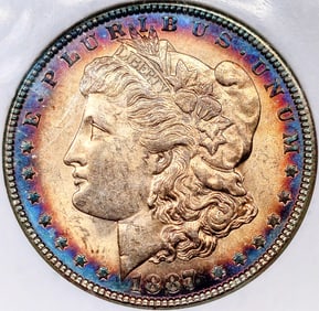 1887 Morgan Silver Dollar Coin MS 65 PCI Toned