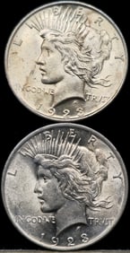 1923 Peace Silver Dollar Coins
