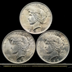 1923 Peace Silver Dollar Coins