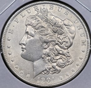 1901 Morgan Silver Dollar Coin Uncirculated