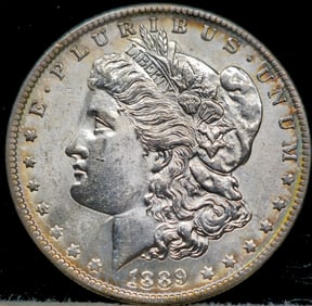 1889 Morgan Silver Dollar Coin Uncirculated Toned